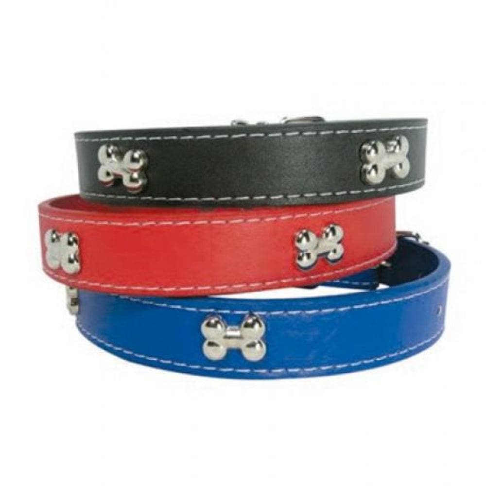 Coleira Com Osso Grande Colors Para Cães