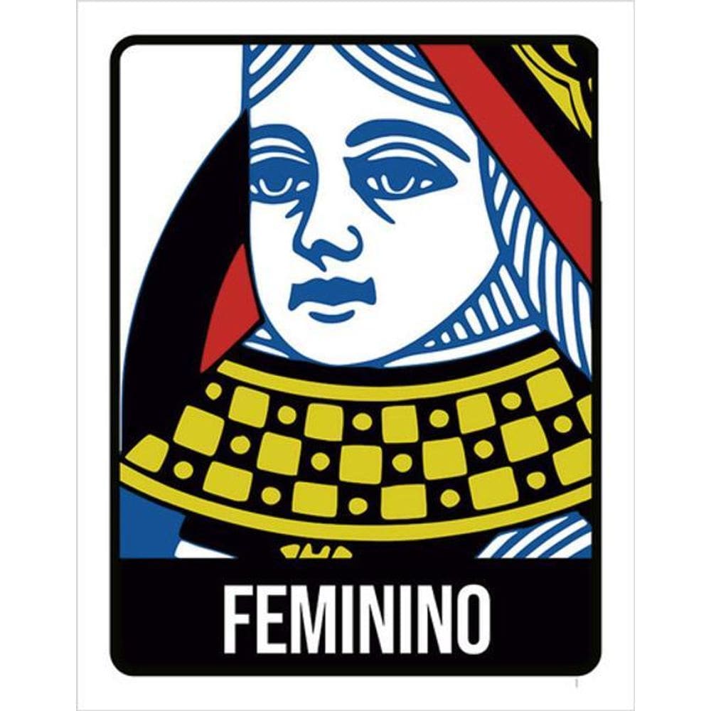 Kit 5 Placas De Banheiro Baralho Feminino 36X46