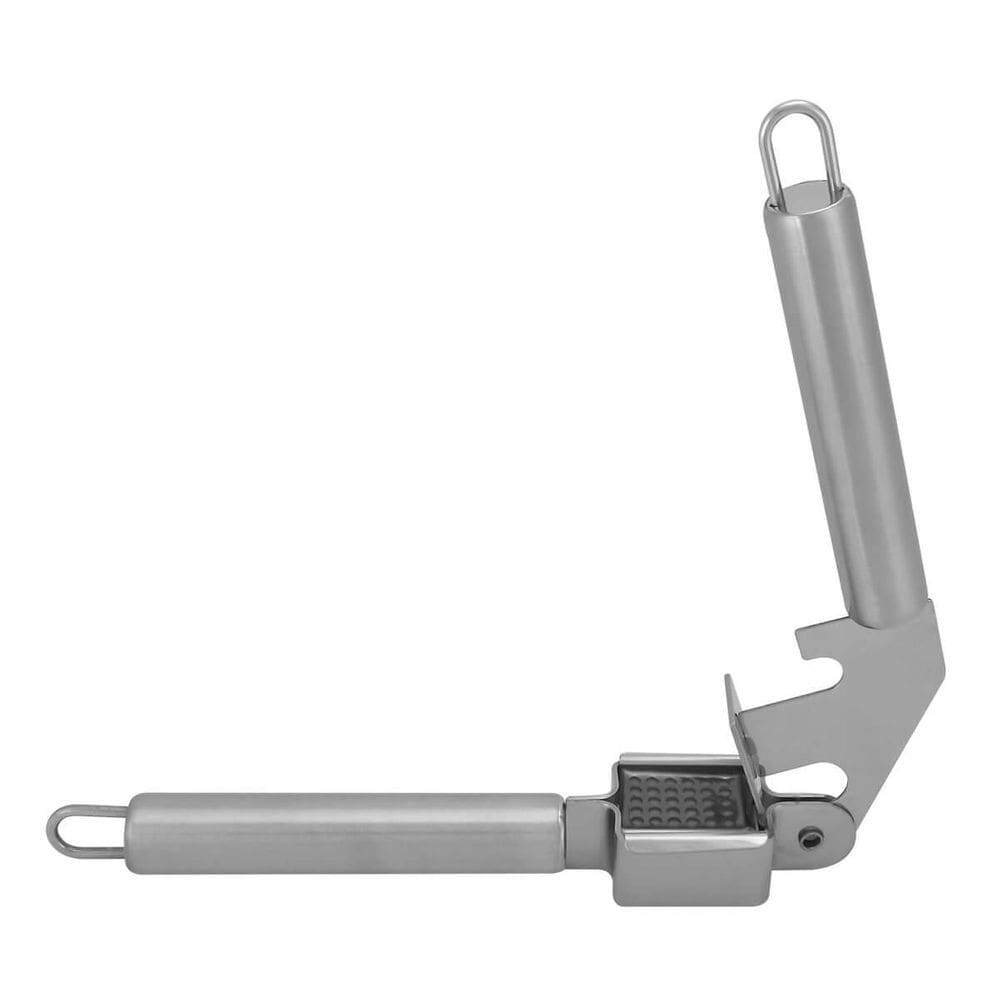 Espremedor De Alho Moderno Em Aço Inox 19Cm Wincy