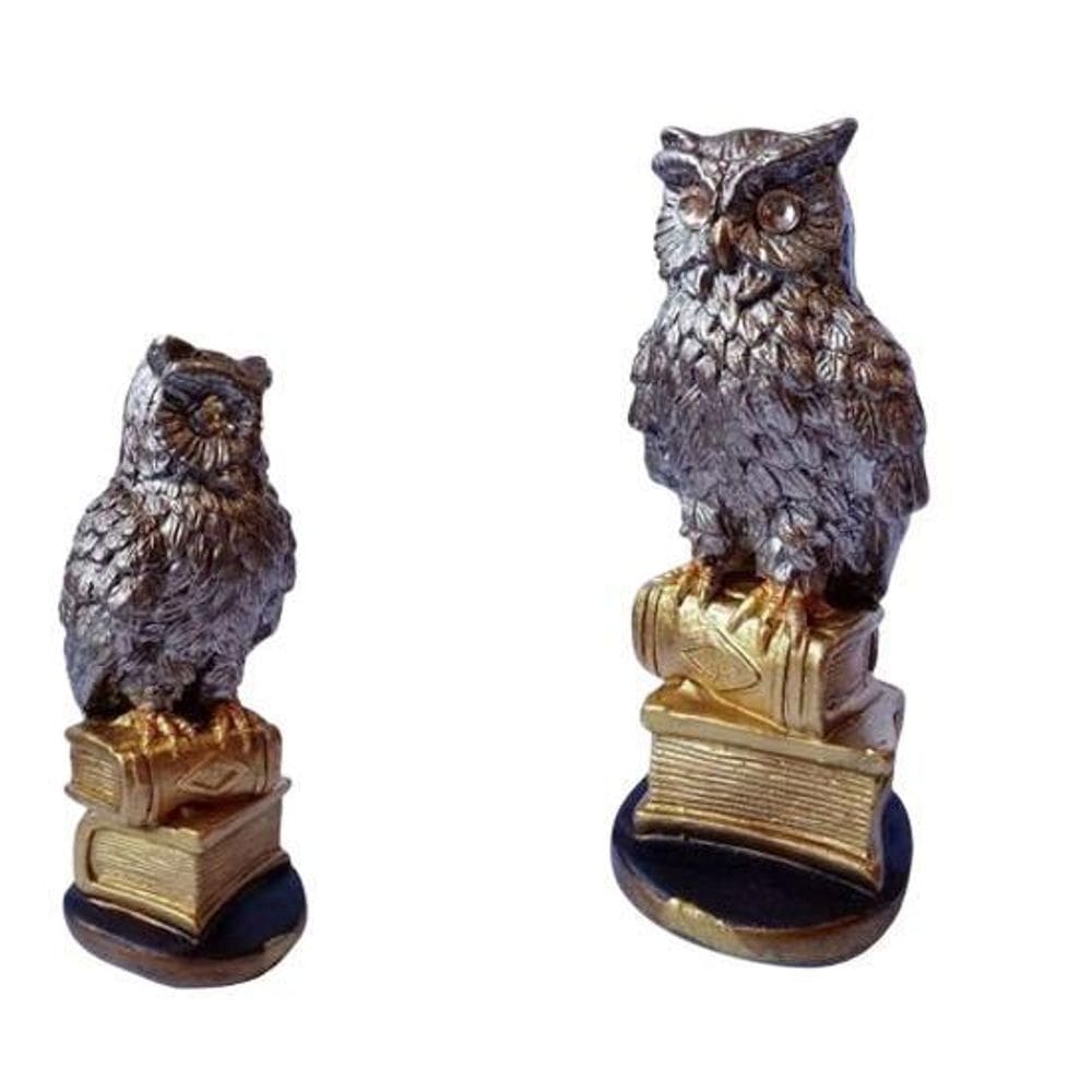 Coruja Sabedoria No Livro Fechado 16Cm