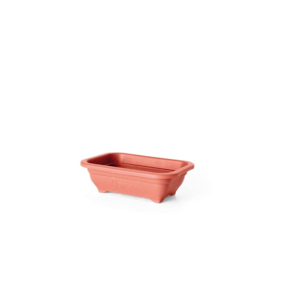 Kit Vaso Bonsai mini com 10 unidades