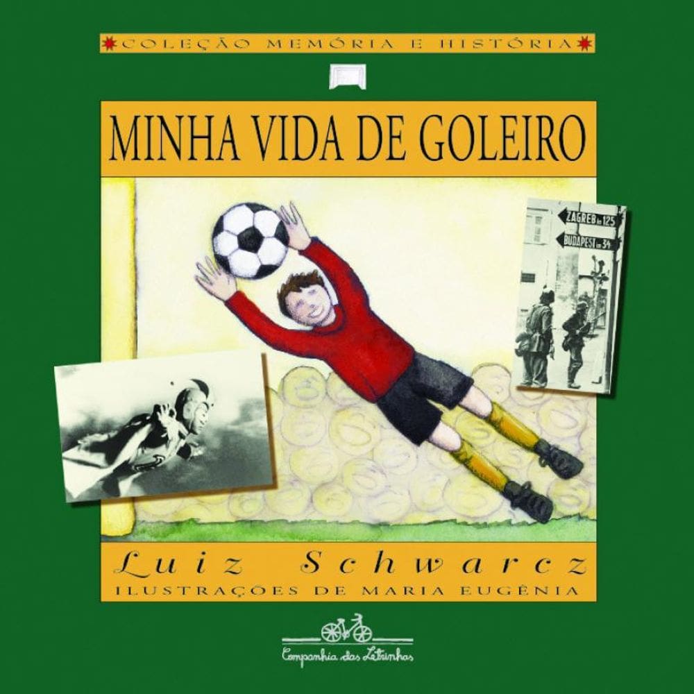 Livro Minha Vida De Goleiro
