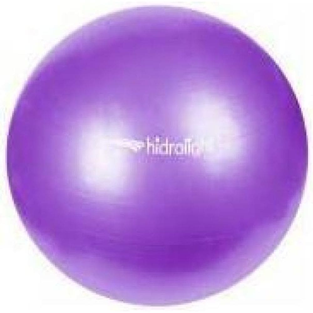 Bola De Exercício Fitness 45 Cm Lilás Hidrolight Diário
