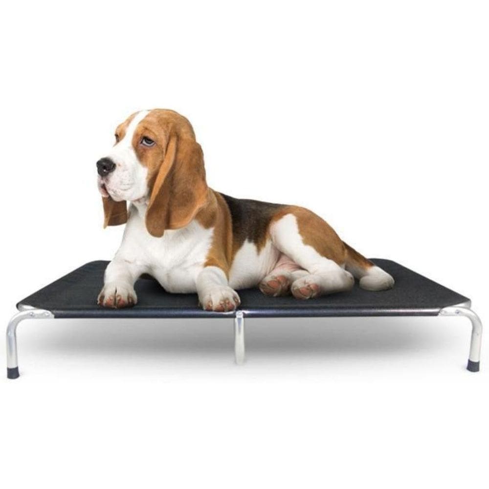 Cama Para Cachorro Modelo Suspensa Preto Tamanho G