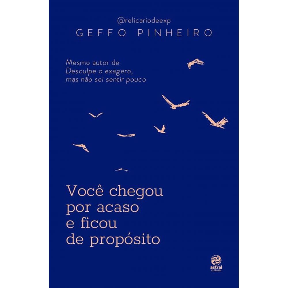 Você chegou por acaso e ficou de propósito