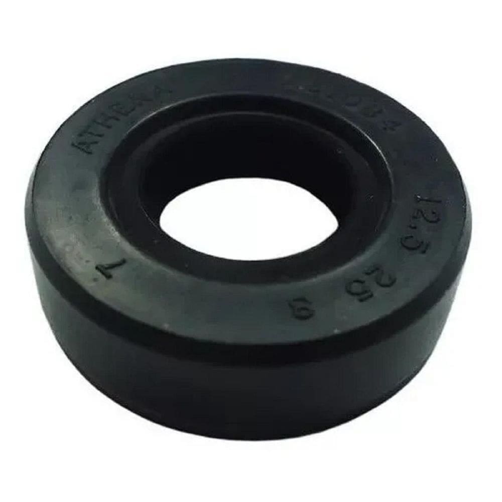 Retentor Eixo Câmbio Shadow 600 Vedamotors