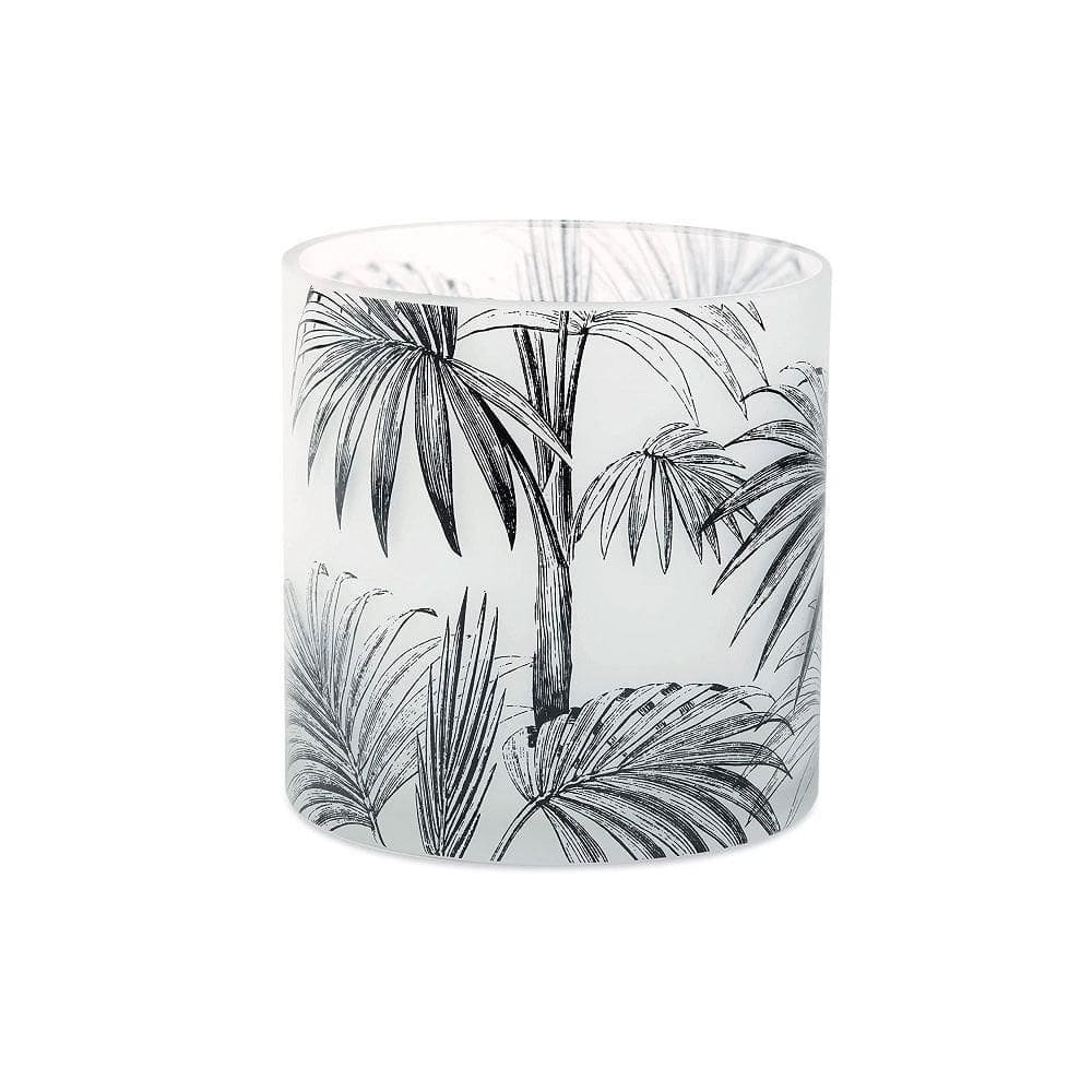 Vaso Plantas De Vidro 15Cm