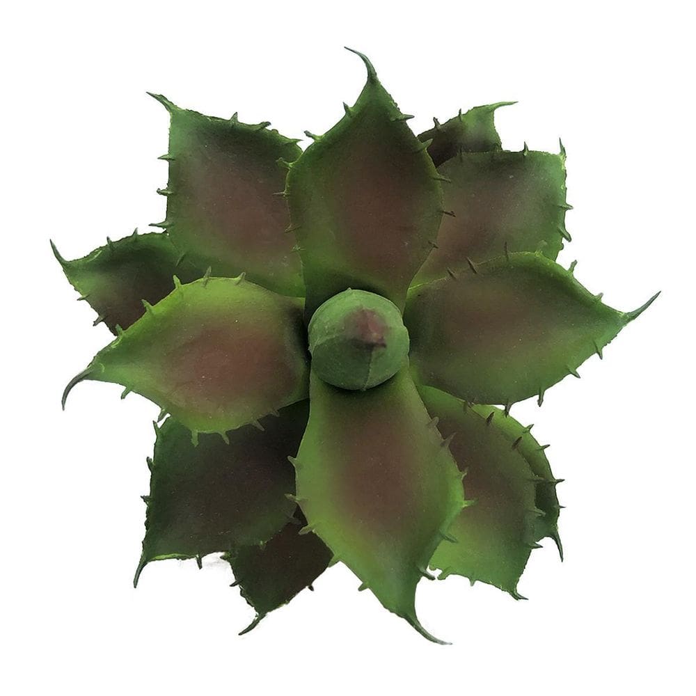 Suculenta Decorativa Artificial Plantas 14X12Cm