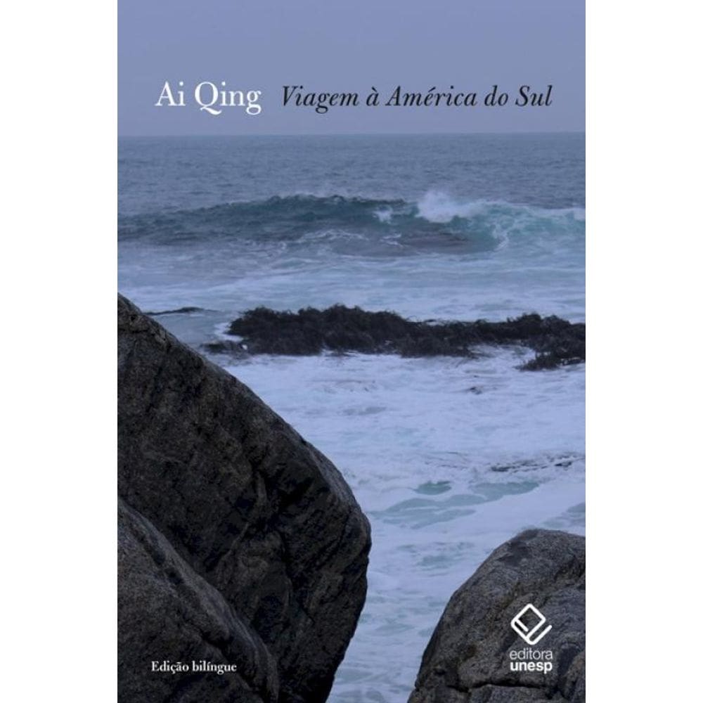 Livro Viagem A America Do Sul