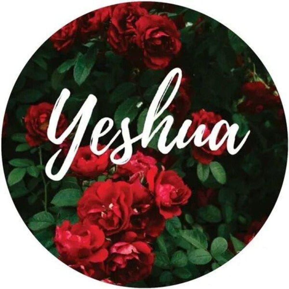 Capa De Estepe Ecosport Aircross Crossfox Yeshua Flor