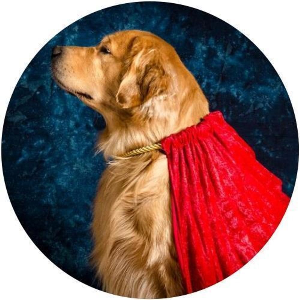 Capa De Estepe Ecosport Aircross Dog Capa Vermelha