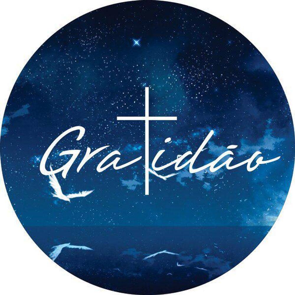 Capa De Estepe Ecosport Aircross Crossfox Gratidão 8