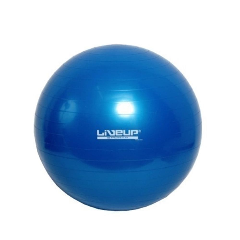 Bola Suíça 65cm LiveUp PVC Azul