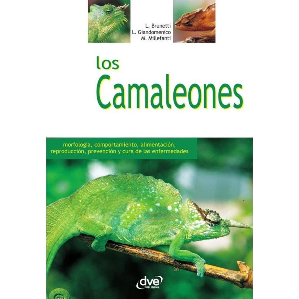 Los camaleones - Espanhol