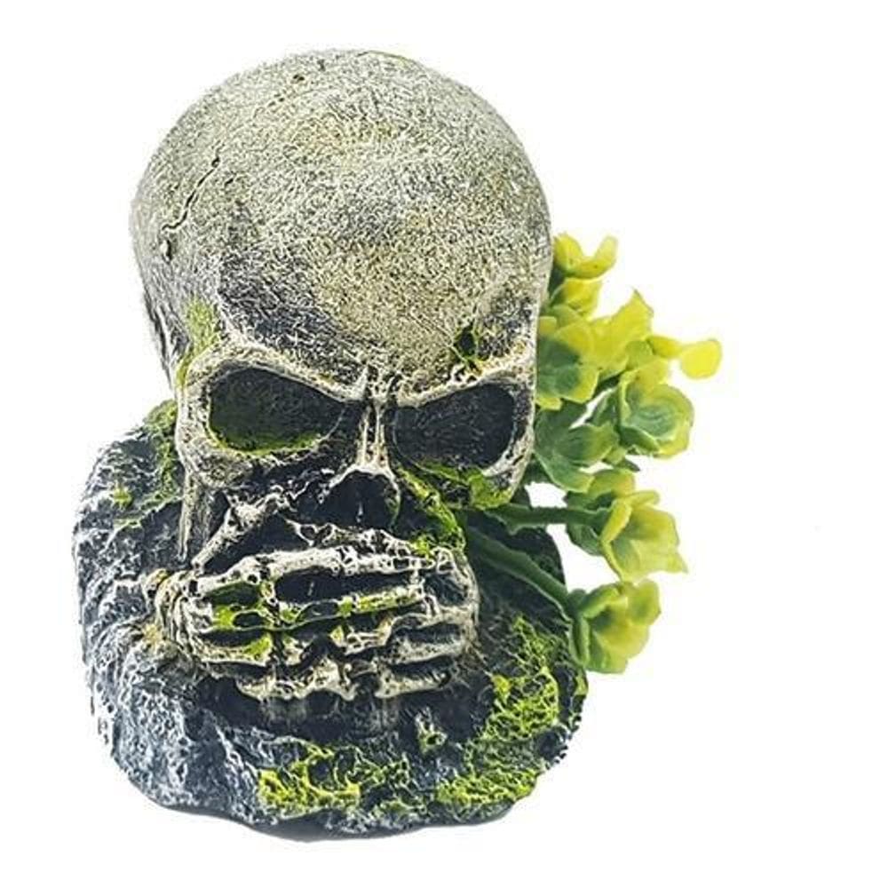 Enfeite Crânio Não Falo - D24 - Aquária