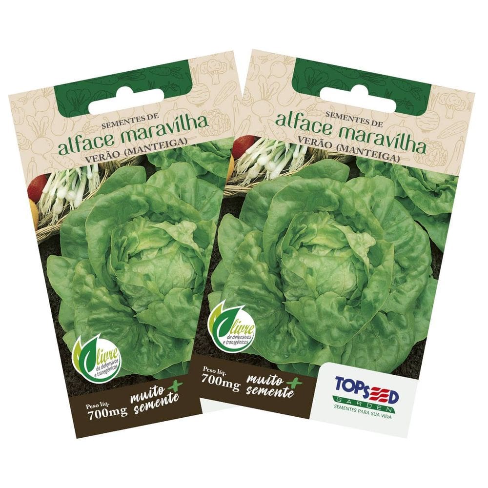 2X Sementes de Alface Maravilha de Verão (Manteiga) TOPSEED