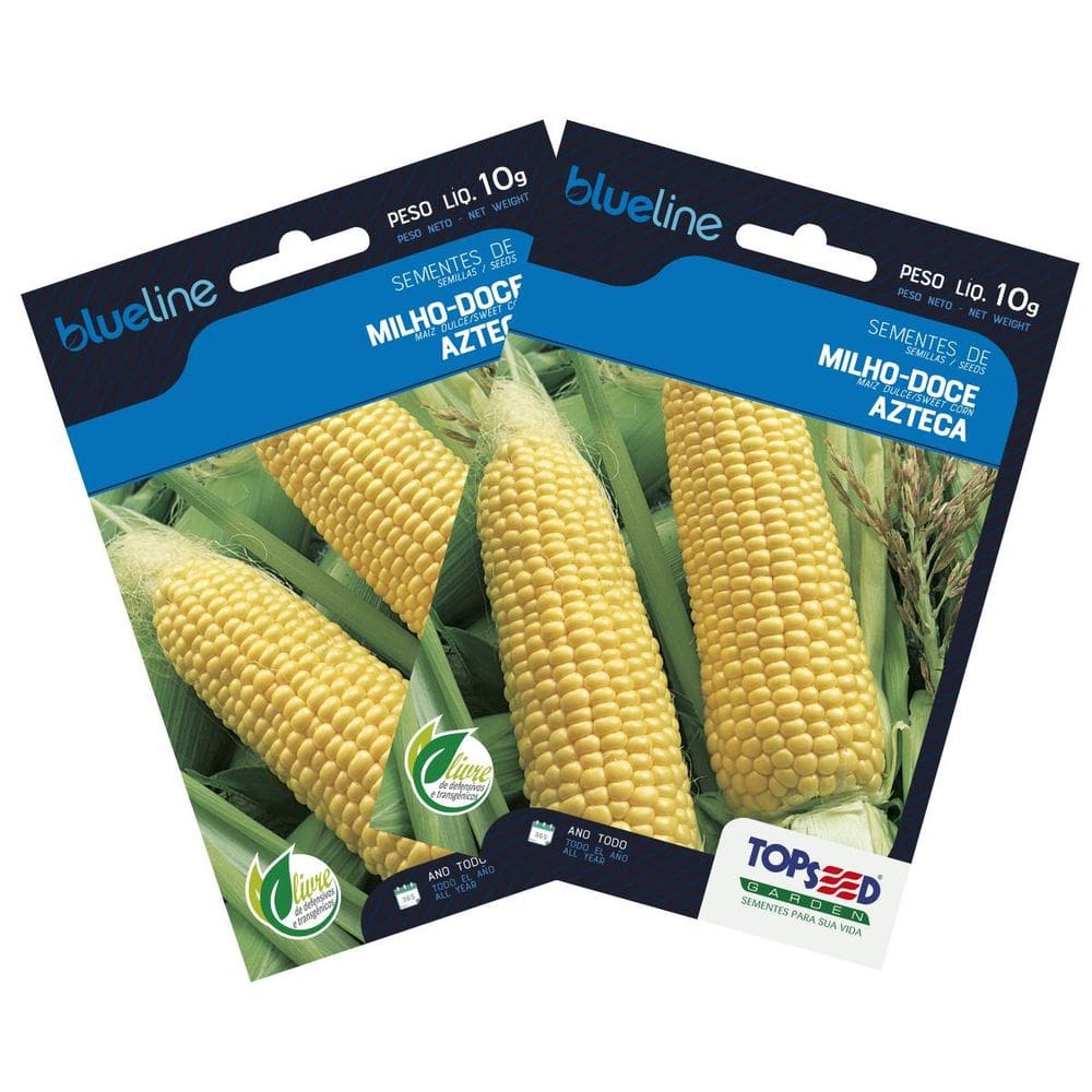 2X Sementes de Milho Doce Azteca Blueline TOPSEED