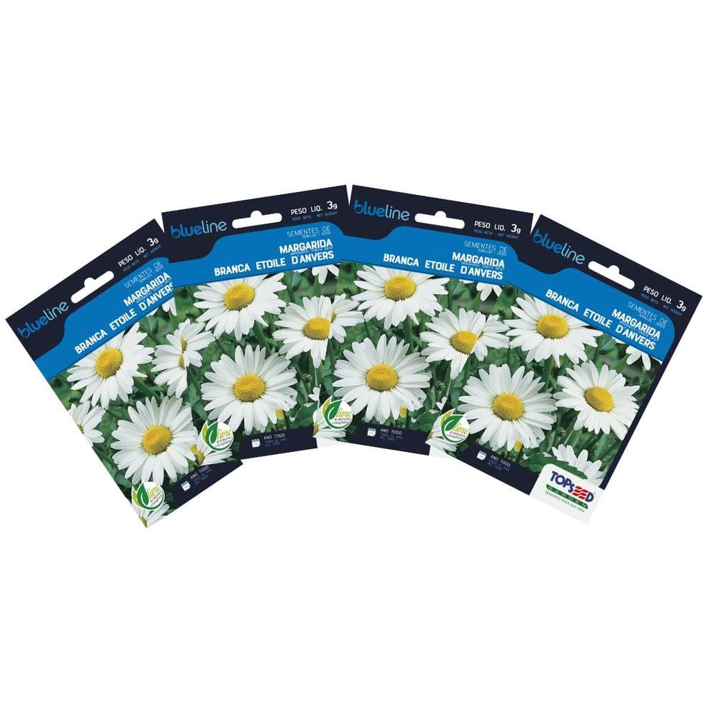 4X Sementes de Margarida Branca Blueline TOPSEED
