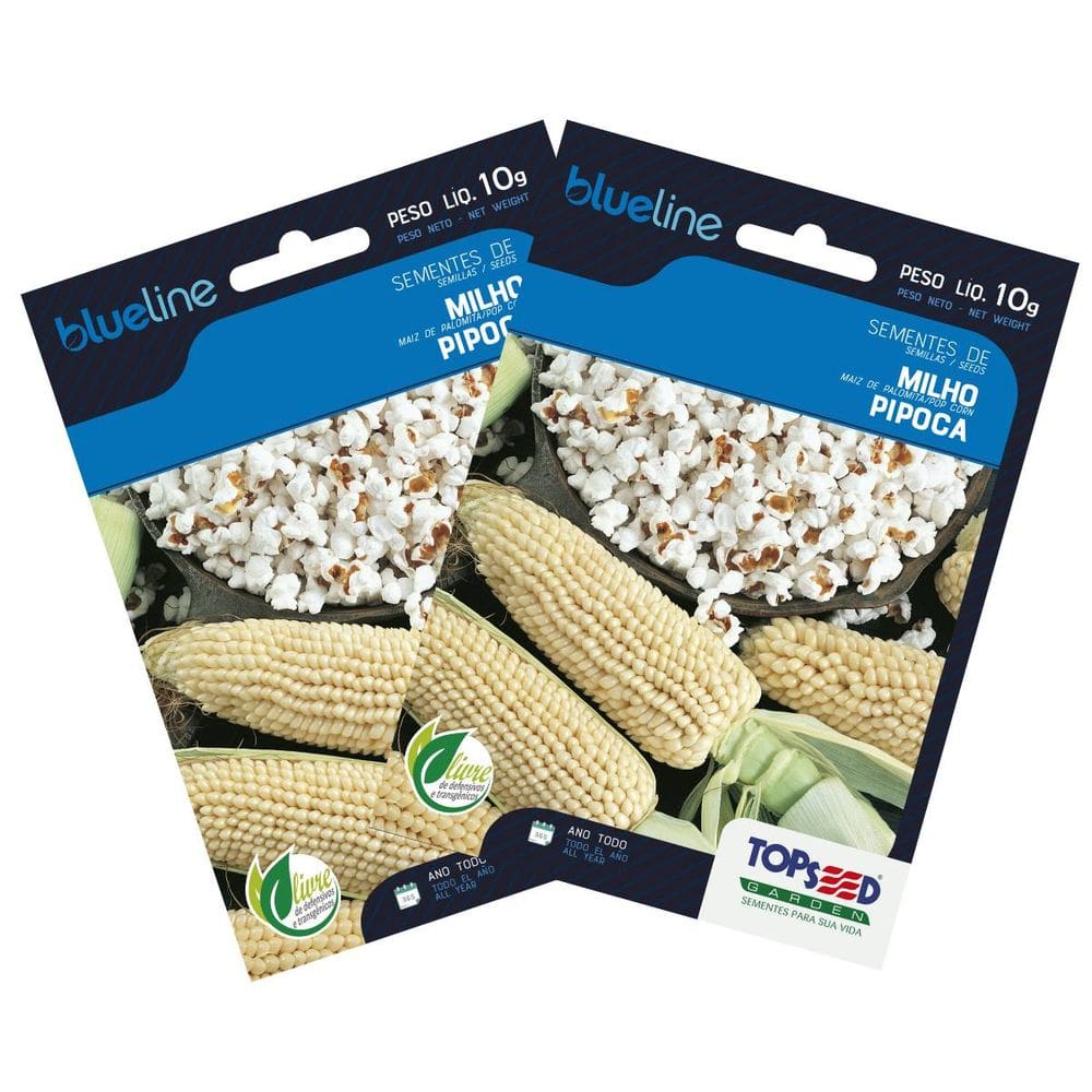 2X Sementes de Milho de Pipoca Blueline TOPSEED