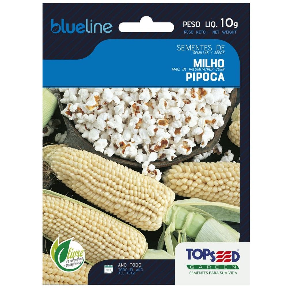 Sementes de Milho de Pipoca Blueline TOPSEED