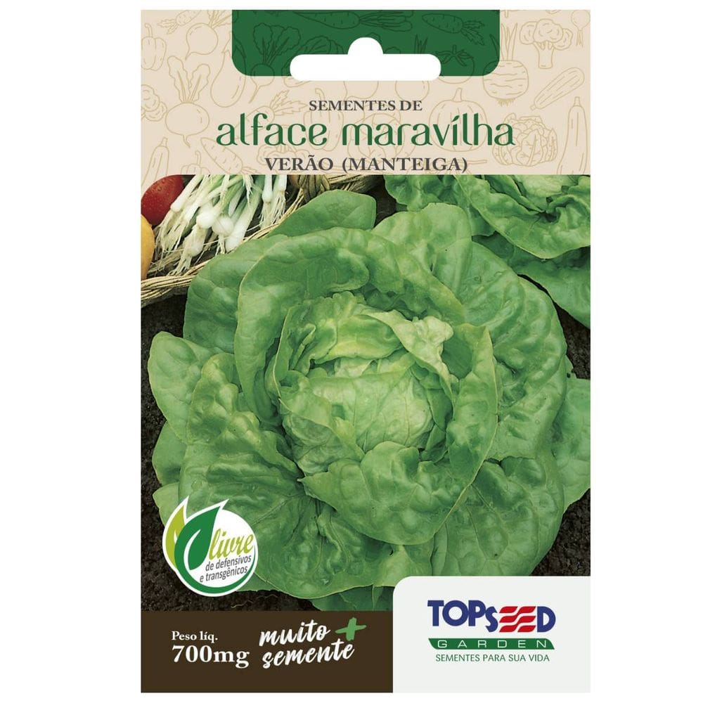 Sementes de Alface Maravilha de Verão (Manteiga) TOPSEED
