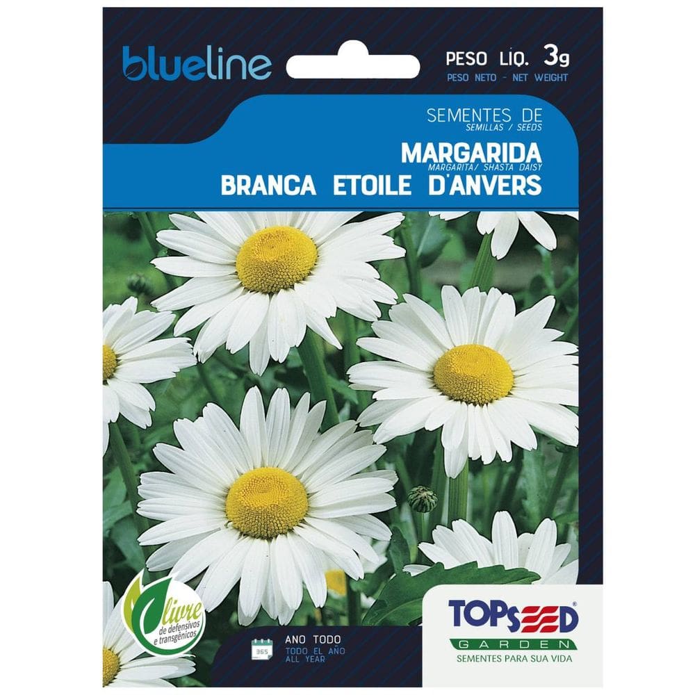 Sementes de Margarida Branca Blueline TOPSEED