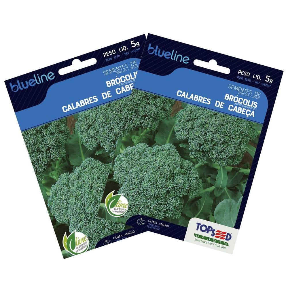 2X Sementes de Brócolis Calabrês de Cabeça Blueline TOPSEED