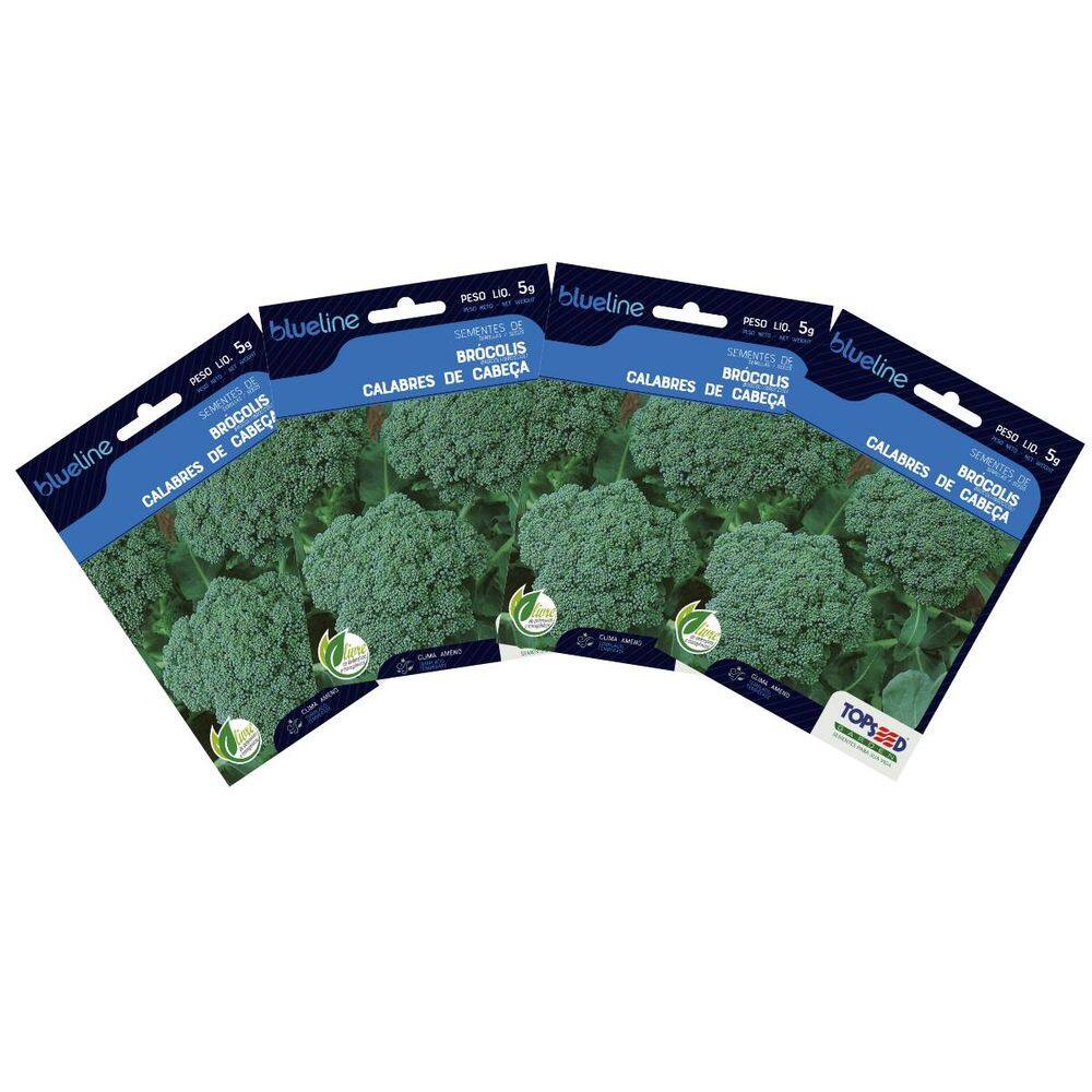 4X Sementes de Brócolis Calabrês de Cabeça Blueline TOPSEED