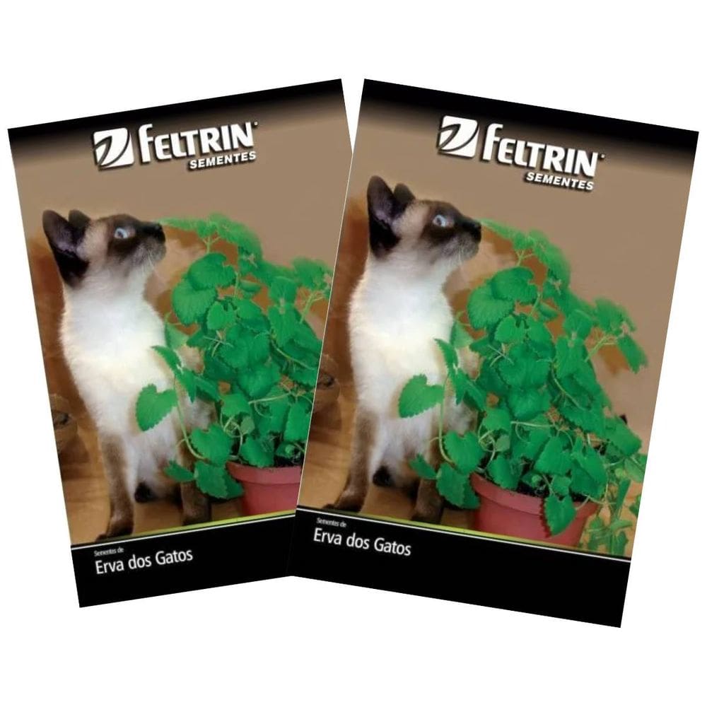 2X Sementes de Erva dos Gatos FELTRIN