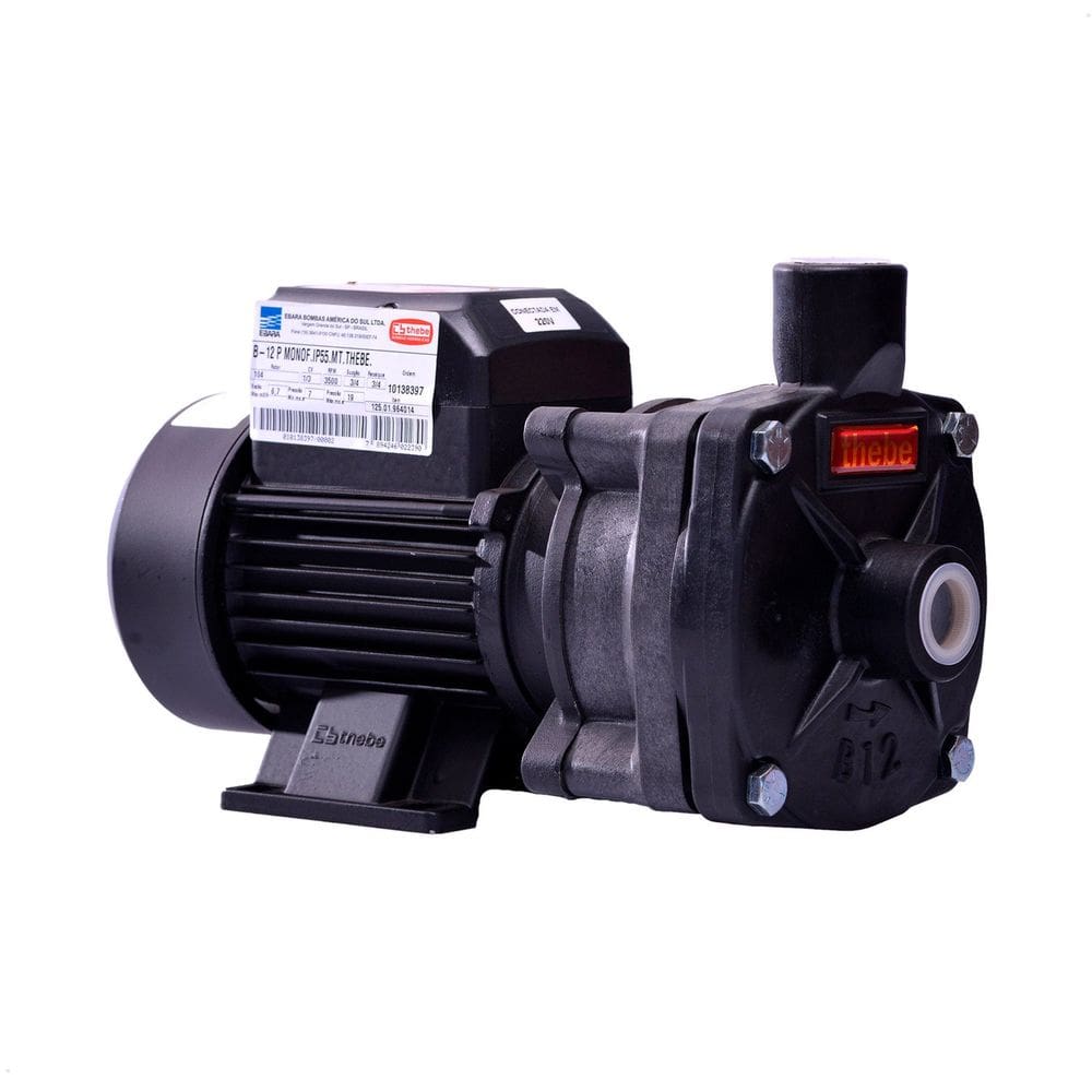 Bomba Monoestágio B-12 P 1/3 Cv Rotor 104mm Monofásico Motor Thebe Ip55 127/220-254v