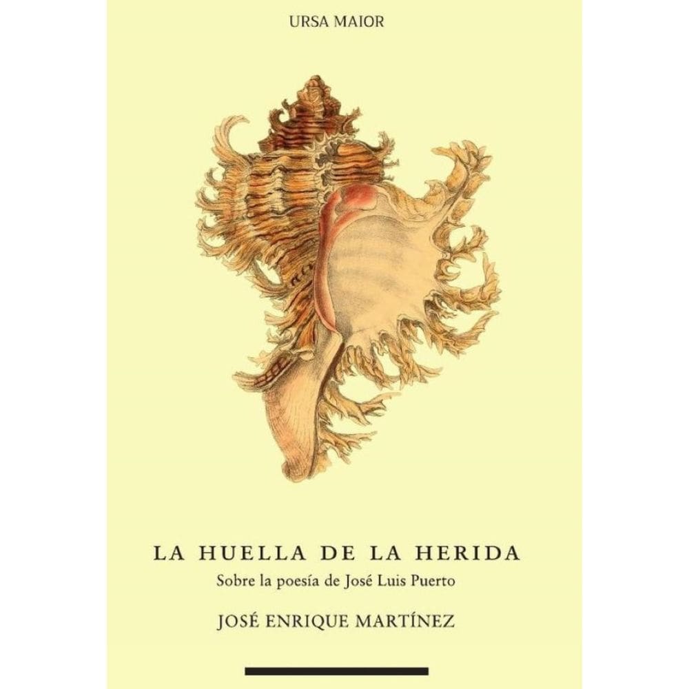 La huella de la herida - Espanhol