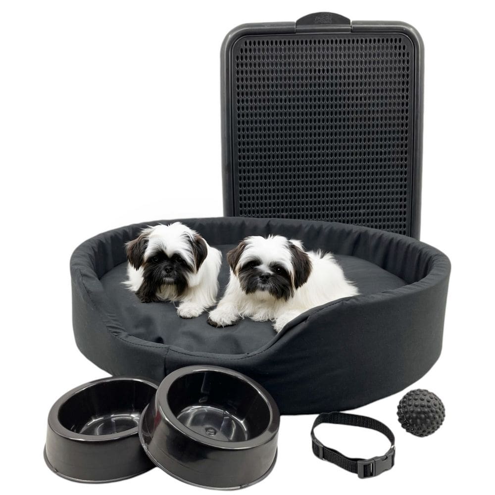 Kit Pet Médio Cama Europa Sanitário Comedouro Coleira Bola