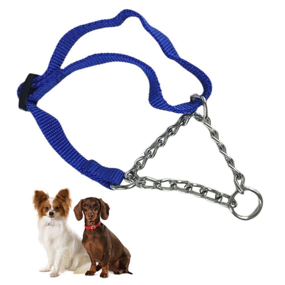 Coleira Ajustavel Guia 1.5cm Aço Elo Torcido Pet