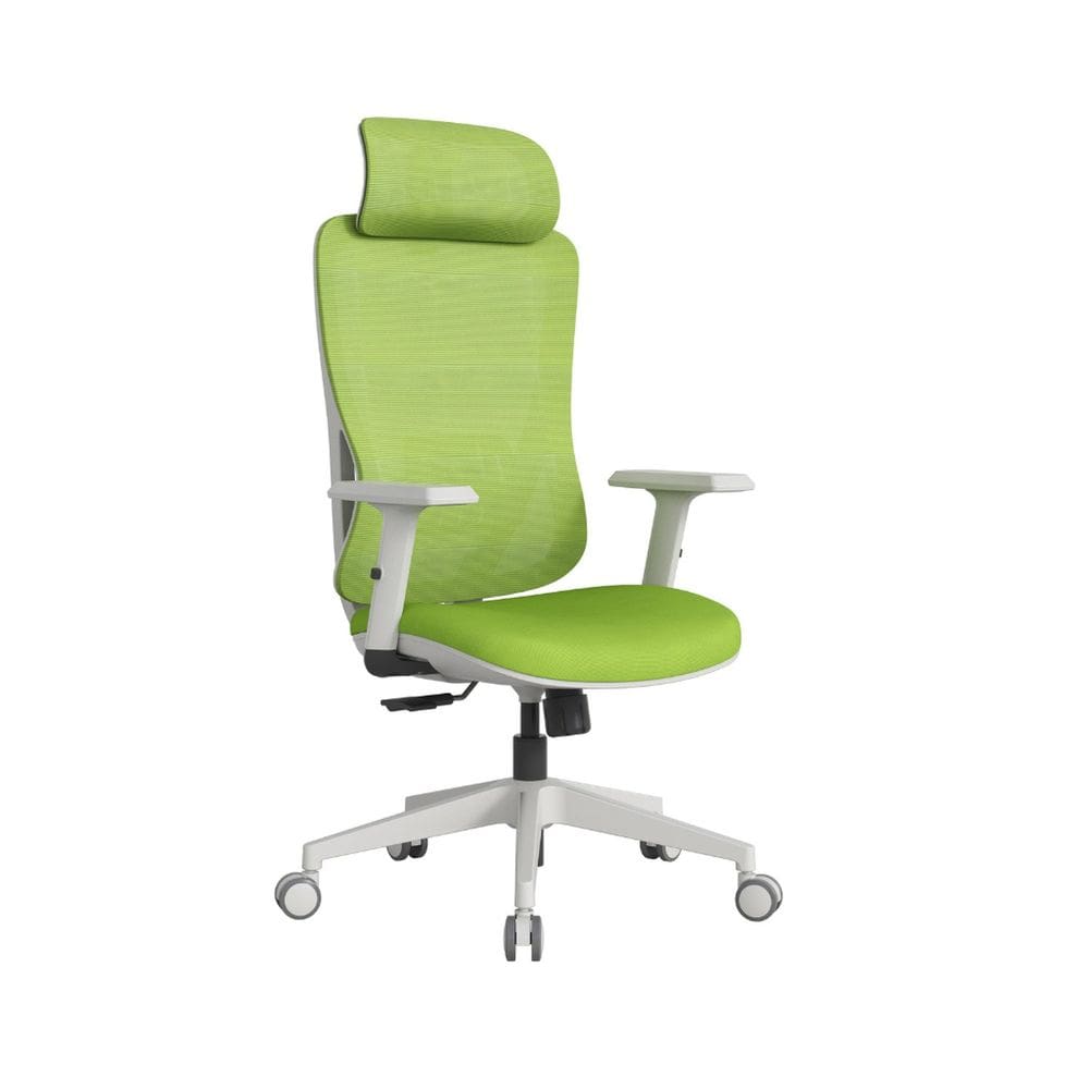 Cadeira Ergonômica para Escritório Verde