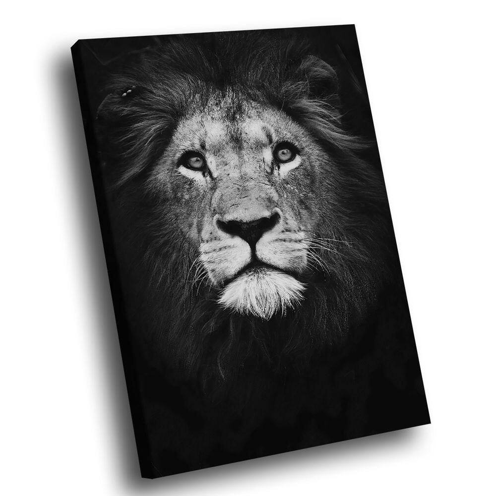 Quadro Leão No Preto -- Br Artes