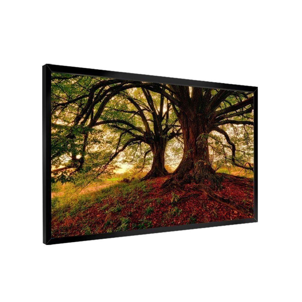 Quadro Decorativo árvore Meu Esconderijo