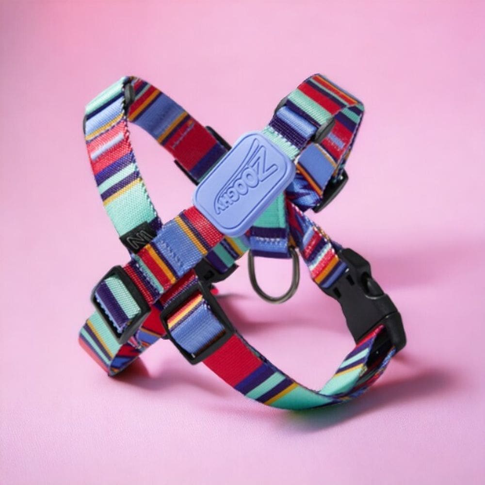 Peitoral em X e Guia para Cães Raios e Listras Violeta - M