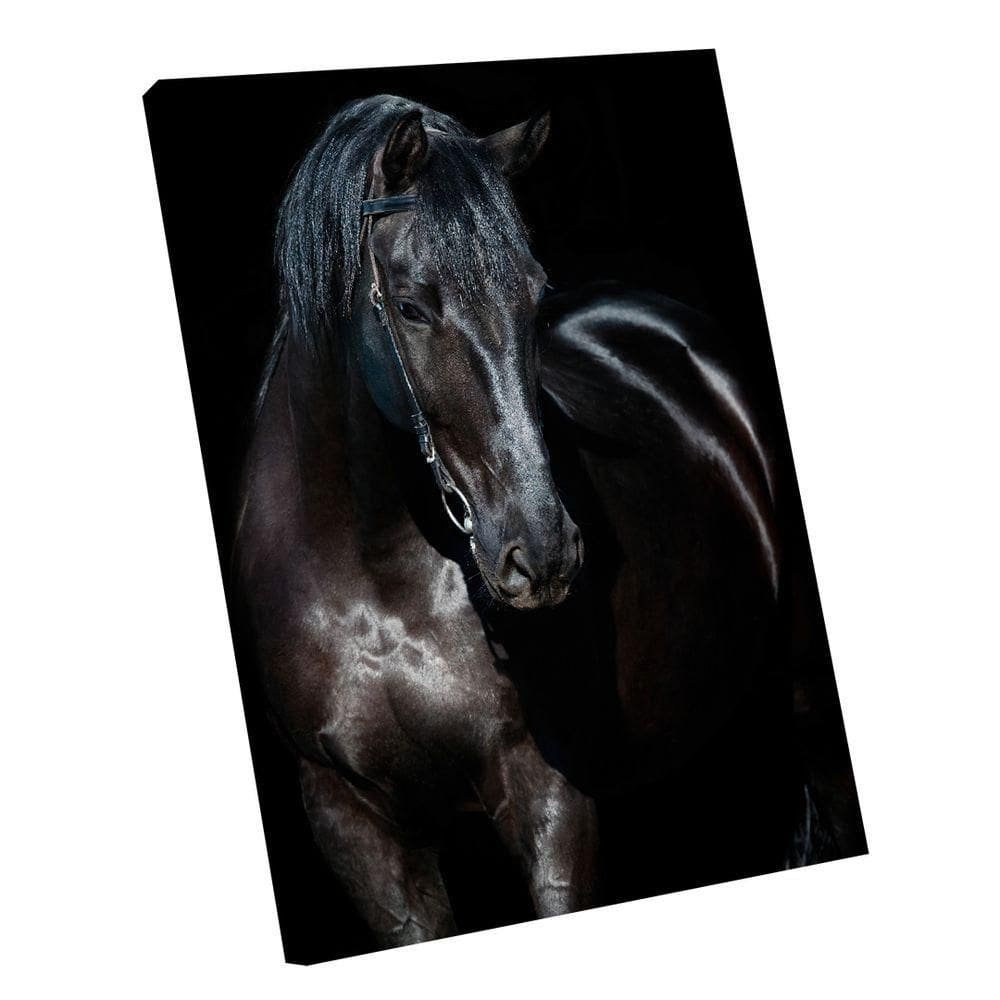 Quadro Strong Horse -- Br Artes