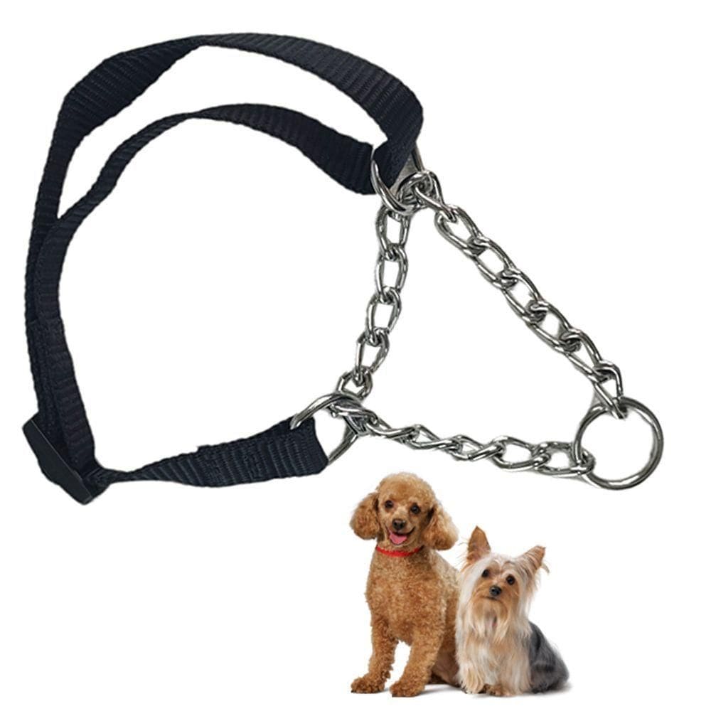 Coleira Guia Elo Torcido Aço Ajustavel Pequeno Porte Pet
