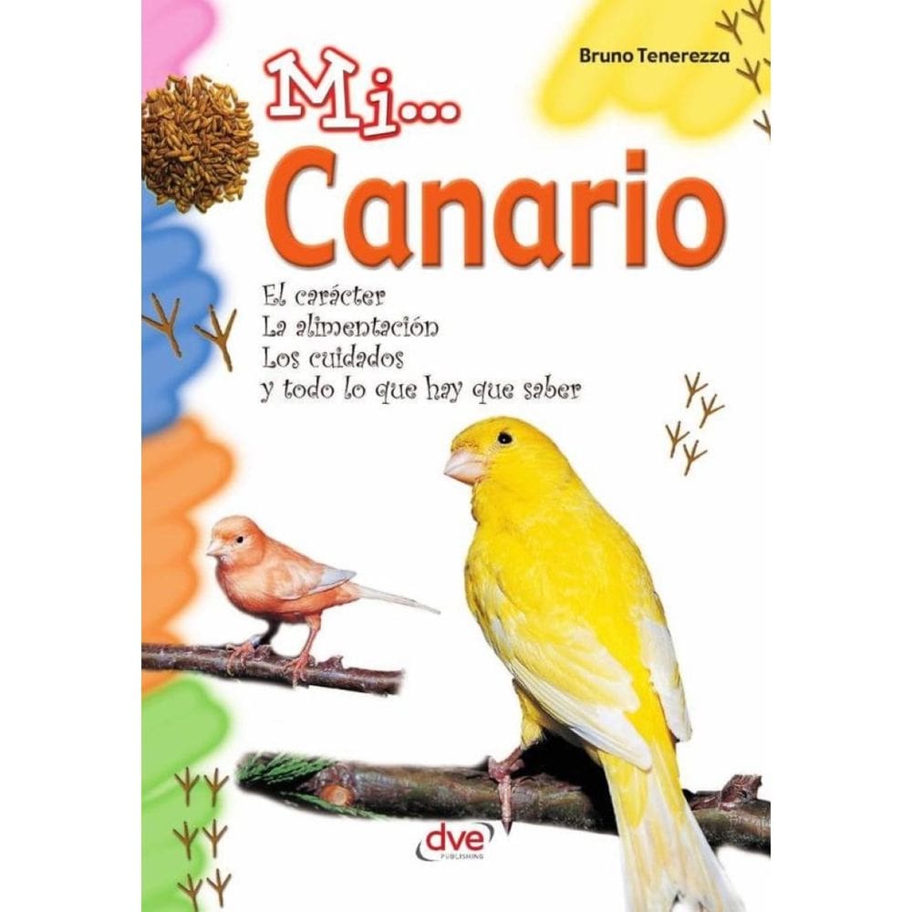 Mi... Canario - Espanhol