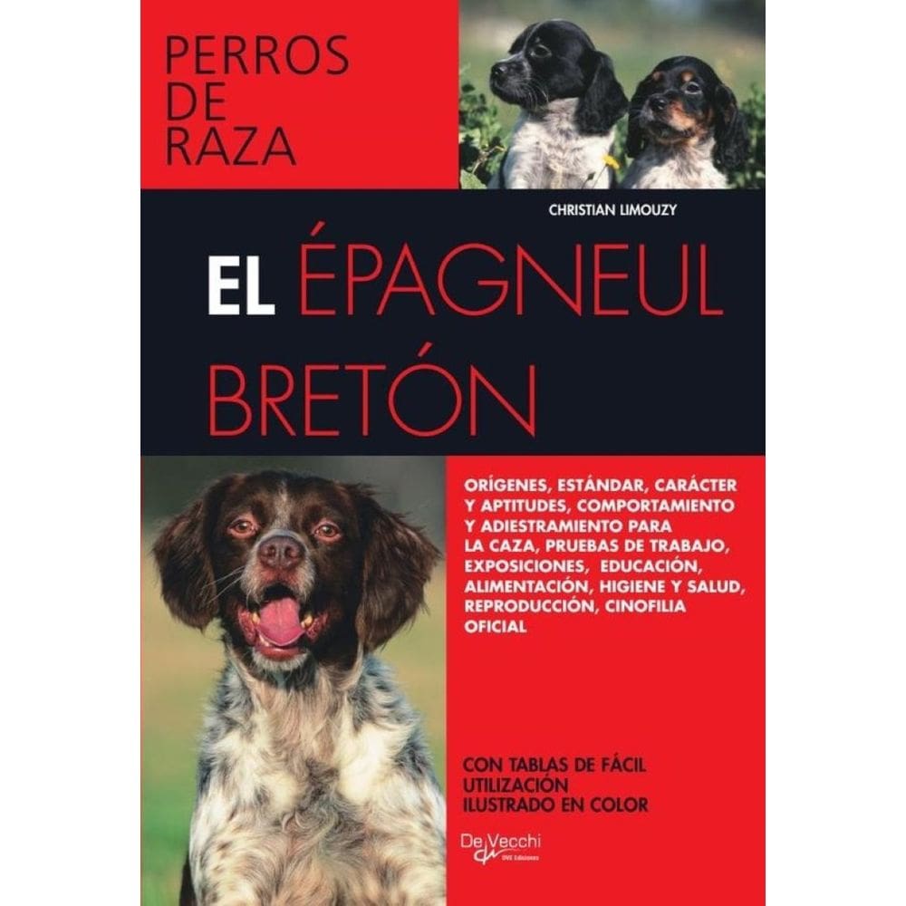 El Épagneul Bretón - Espanhol