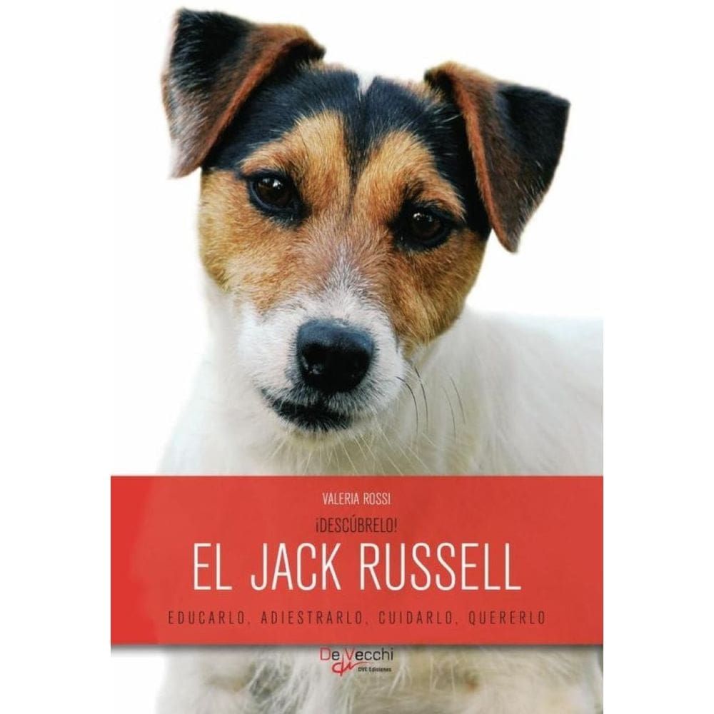 ¡Descúbrelo! El Jack Russell - Espanhol