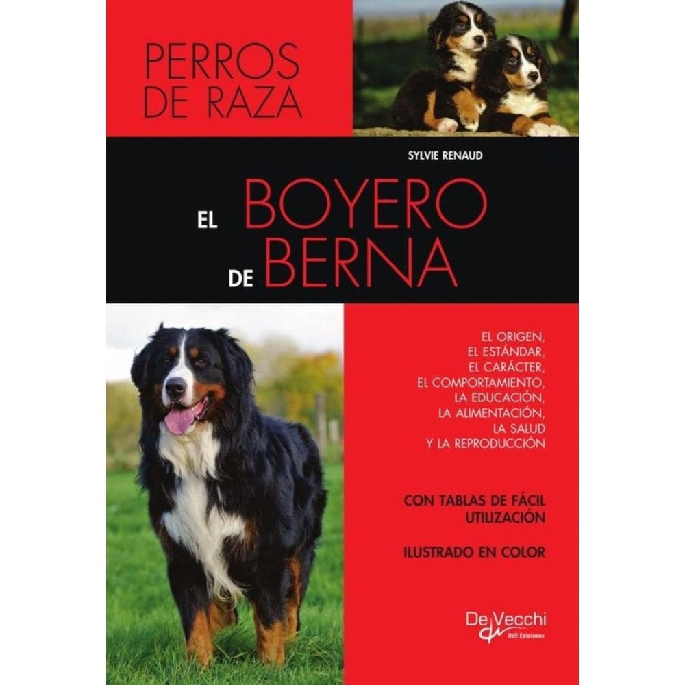 El boyero de Berna - Espanhol