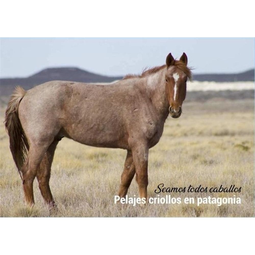 Pelajes criollos en Patagonia - Espanhol