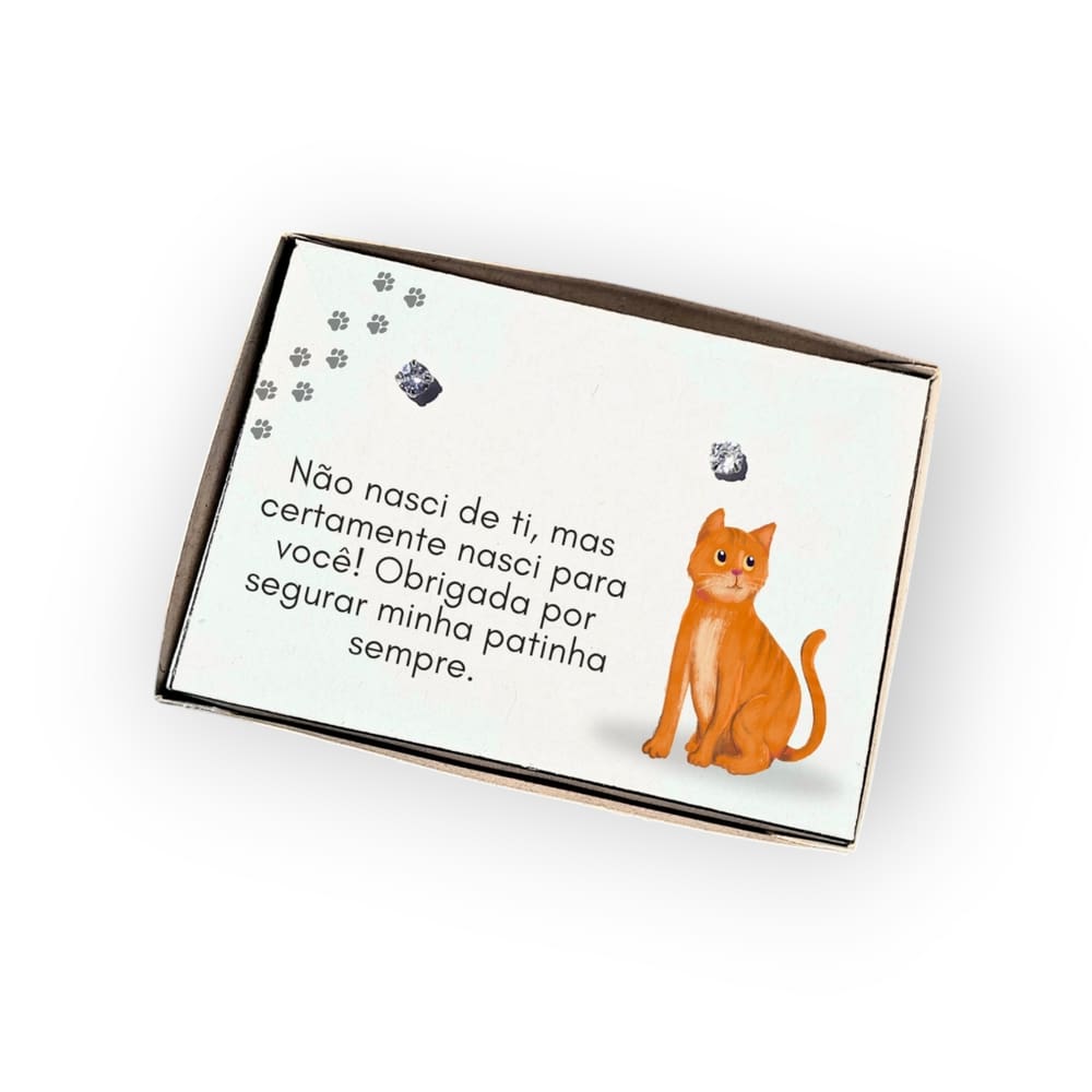 Brinco ponto de luz de aço + Caixa Presente Mãe Gato
