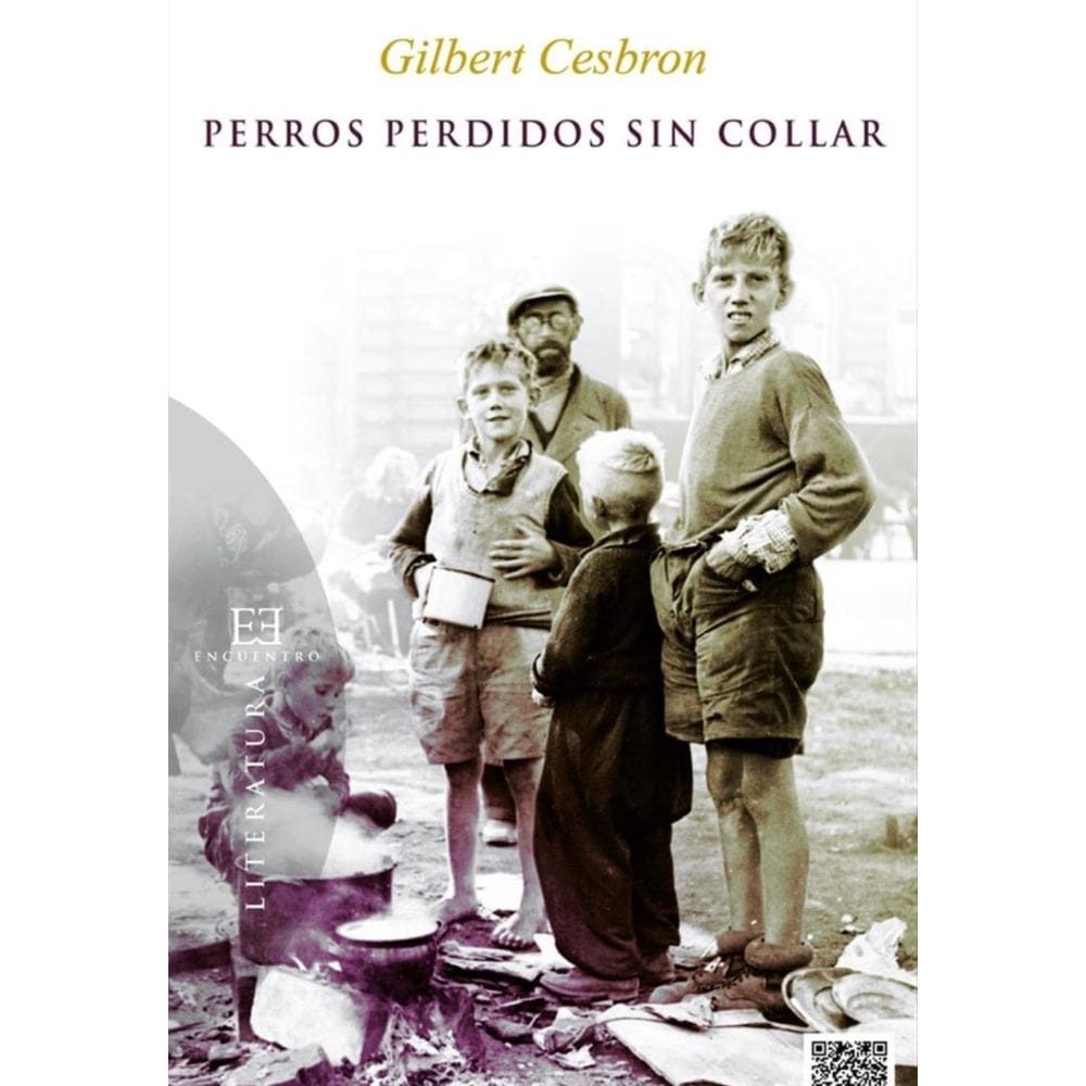 Perros perdidos sin collar-Espanhol