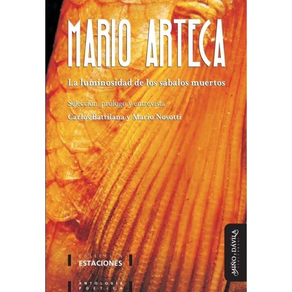 La luminosidad de los sábalos muertos - Espanhol