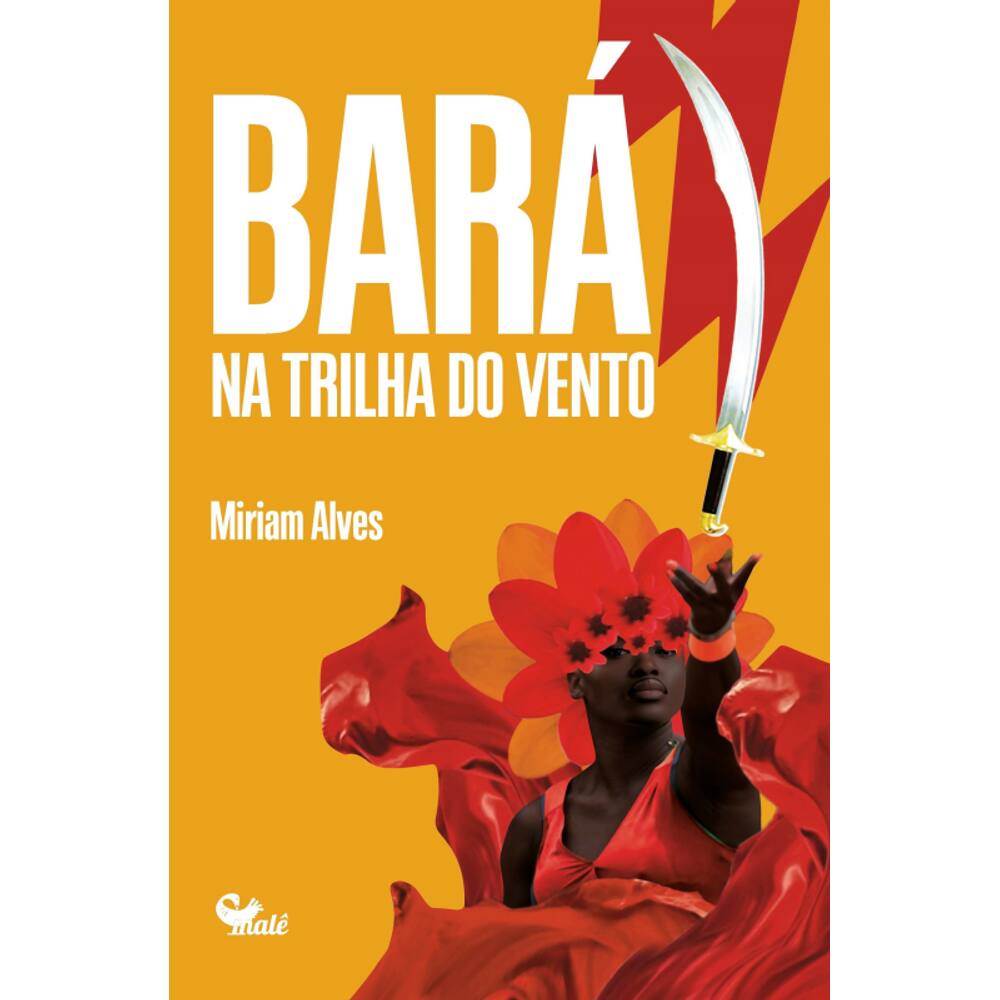 Bará: na trilha do vento