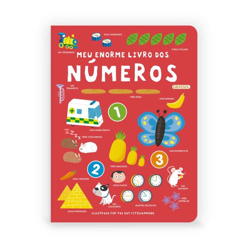 Meu enorme livro dos números