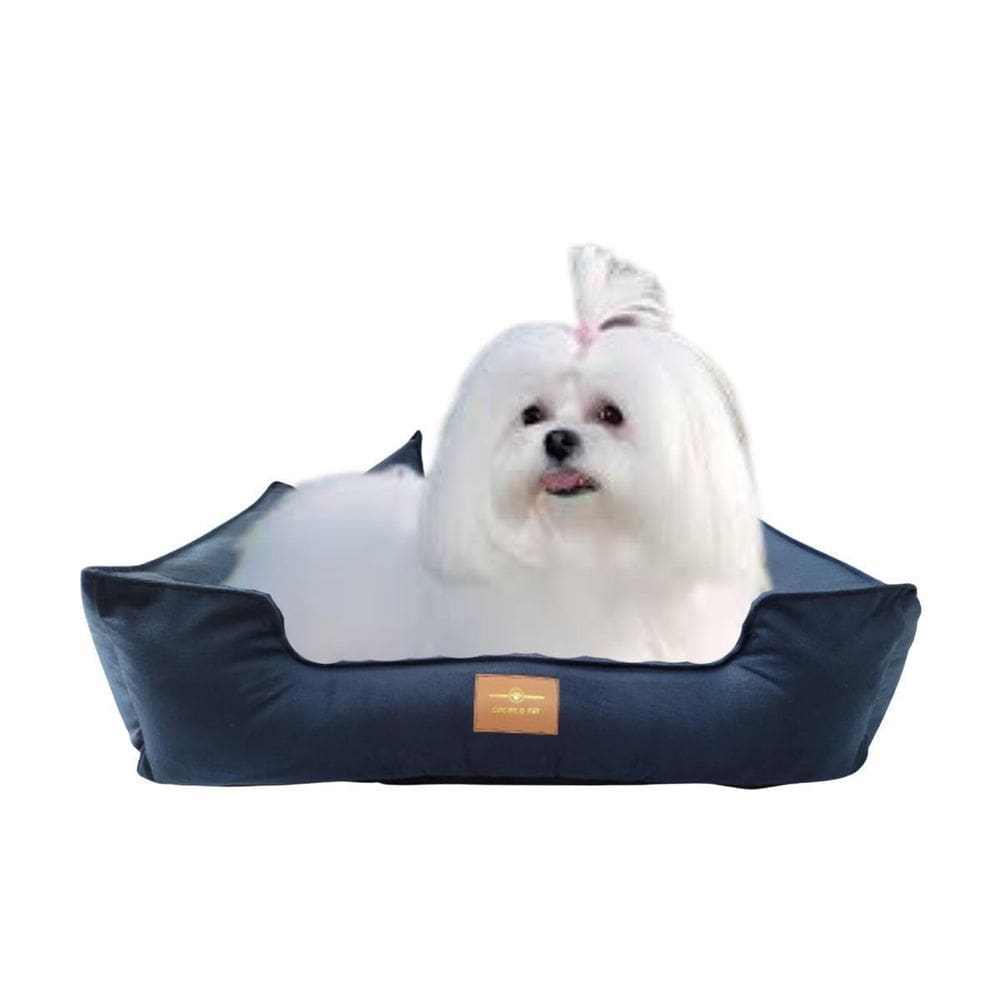Kit Luxo Caminha Pet Veludo 2Peças M Para Cães Pequenos Azul